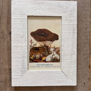 Wittle lijst met antieke paddenstoel illustratie