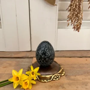 Zwart ei van sneeuwvlok obsidiaan