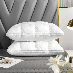 Hoofdkussen Gansdons Luxe Ergonomisch Comfortabele Nachtrust