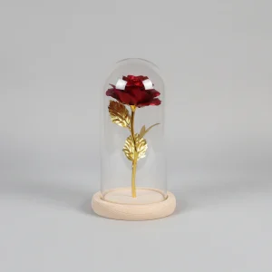 LED Eeuwige Roos Glas Verlichting Houten Basis